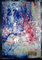 Tiffany glass sheet #06 in box #27